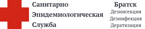 СЭС Братска
