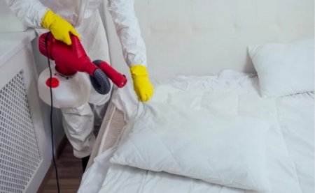 Современные методы борьбы с постельными клопами